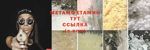 прущие грибы Саяногорск