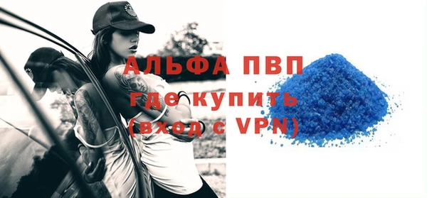прущие грибы Саяногорск