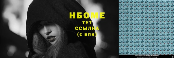 прущие грибы Саяногорск