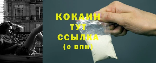 прущие грибы Саяногорск