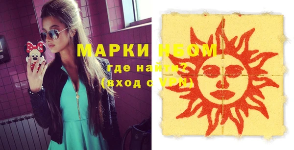 прущие грибы Саяногорск