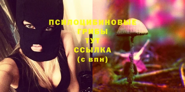 марки lsd Бородино