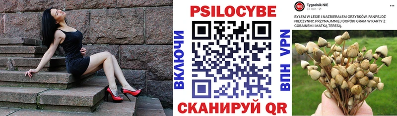Галлюциногенные грибы Cubensis  Суоярви 